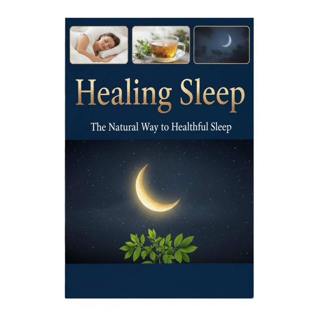Ebook - Healing Sleep