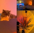 SM Sunset Lamp